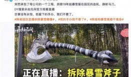 最新爆料暴雪事件视频