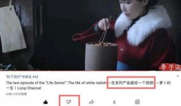 网红石昊爆料了吗视频在线观看,揭秘网红幕后故事